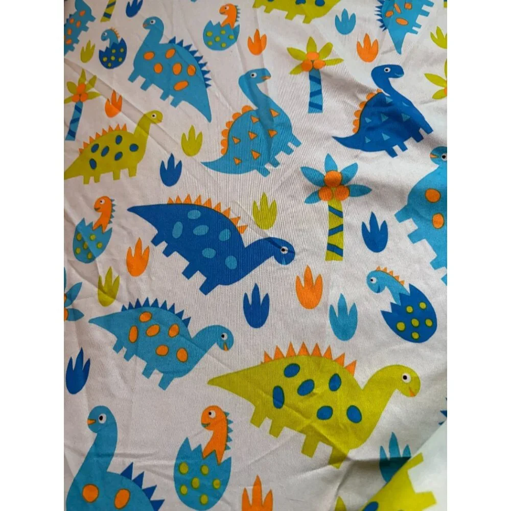 Kite Kids land roaring